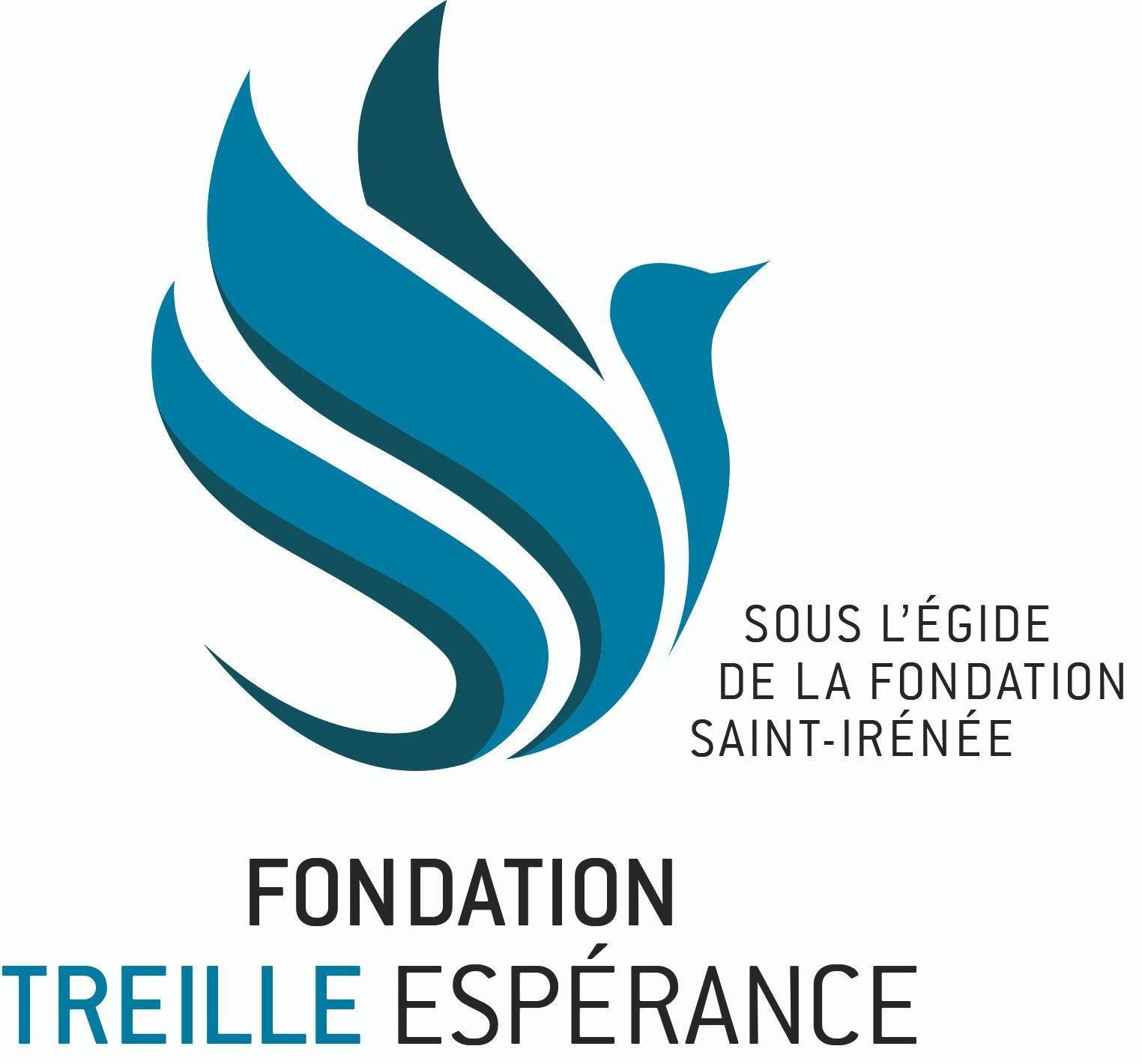 page d'accueil de Fondation Treille Espérance